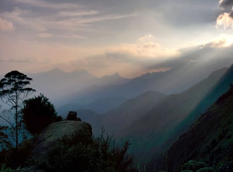 Vattakanal hills, Kodaikanal