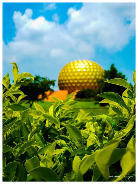 Matrimandir among trees
