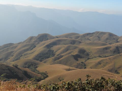 Mukurthi National Park