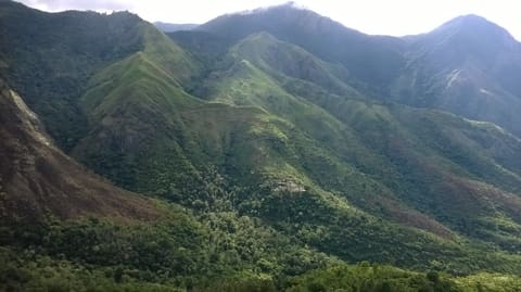 Kurangani trek view