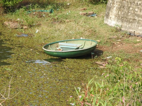 Coracle on Yercaud lake