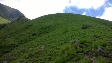 Kurangani trekking trail