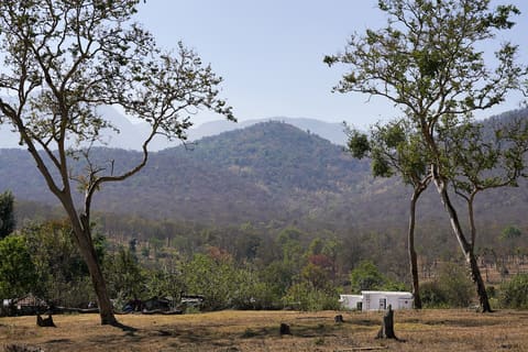 Theppakadu with the Nilgiris behind