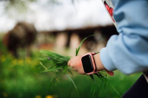 Smartwatch on a wrist