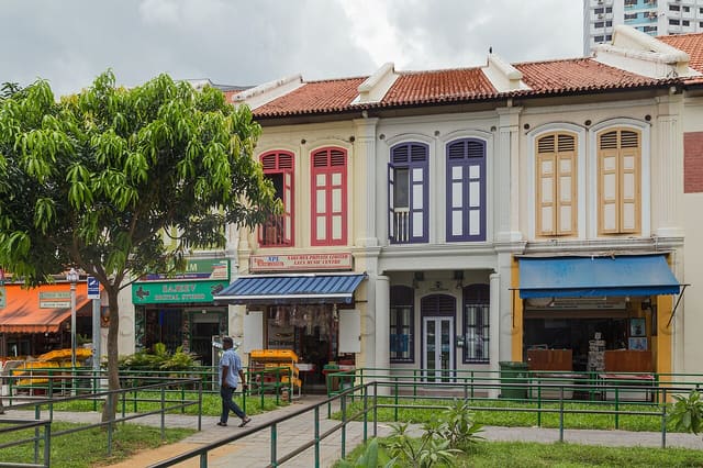 2016 Singapur, Little India, Ulica Kerbau, Domy-sklepy (02)