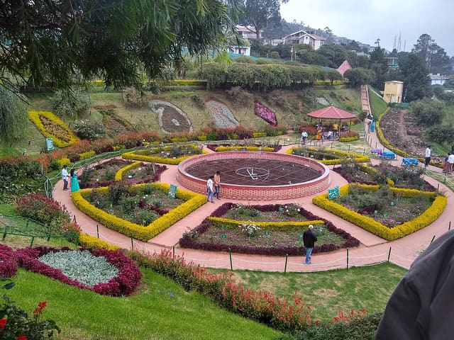 Government Rose Garden, Ooty, Tamil Nadu, India