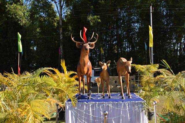 Sangai Deer Replica in Manipur
