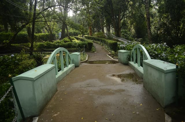 Sim's Park, Coonoor JEG9187