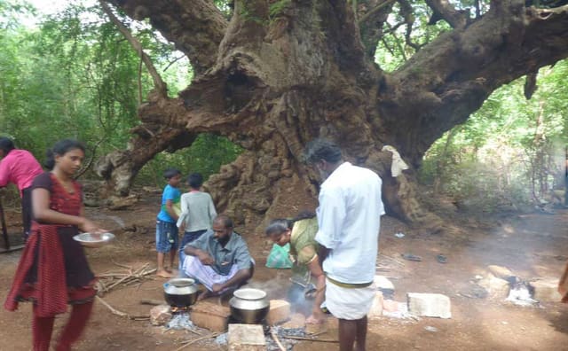 Pongal in Puliyamaram