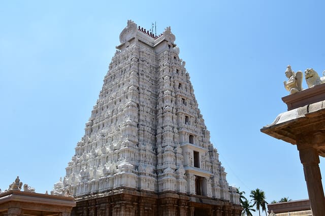Sri Ranganathaswamy Temple, dedicated to Vishnu, in Srirangam, near Tiruchirappali (151) (37465657406)