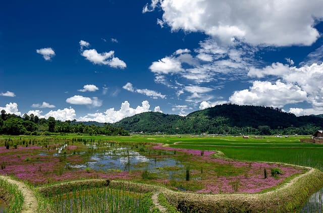 Ziro valley of Aruncahl in summer season