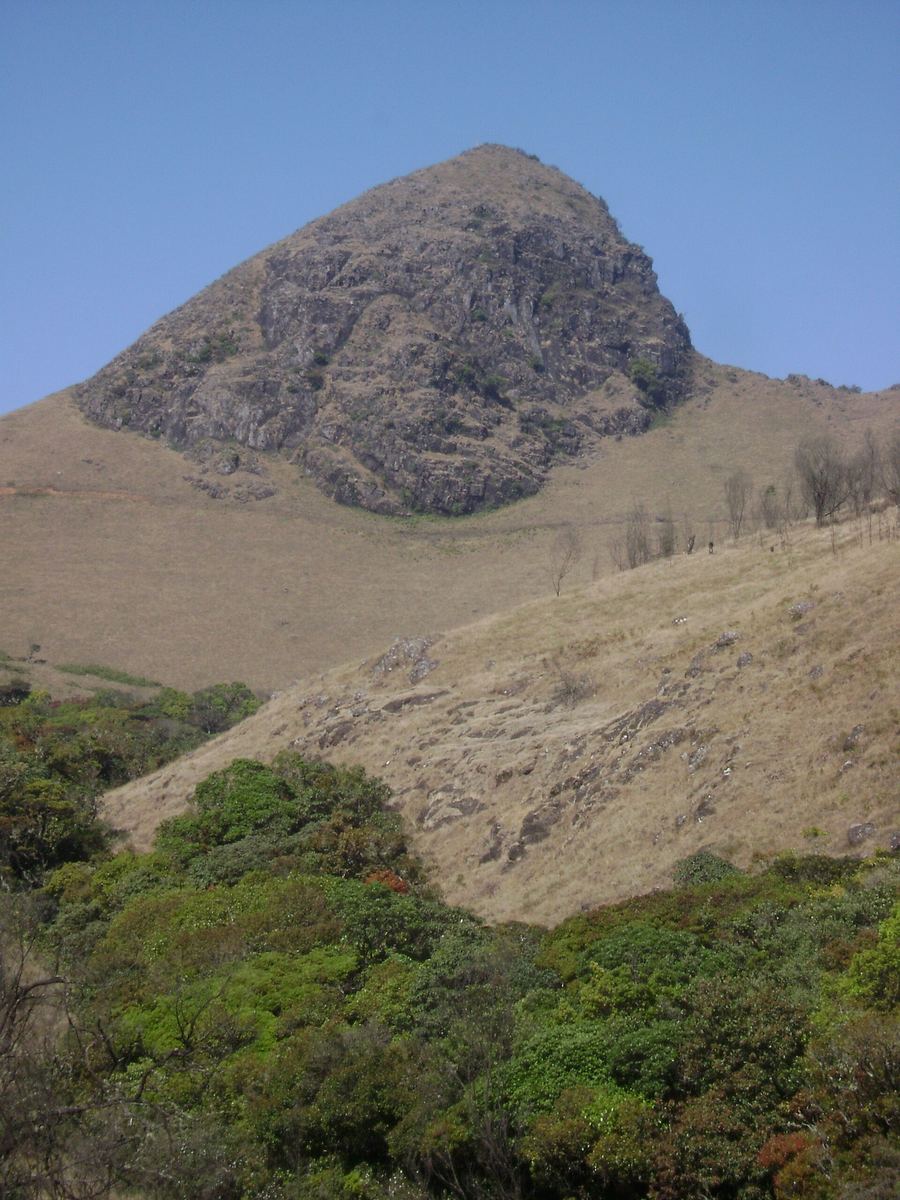 Mukurthi peak