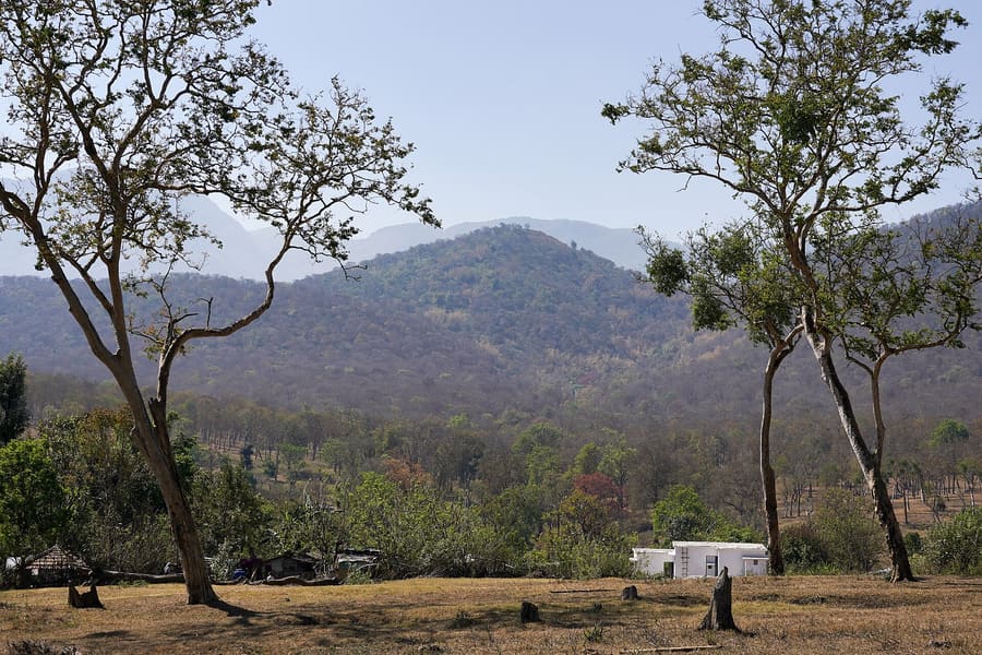 Theppakadu with the Nilgiris behind
